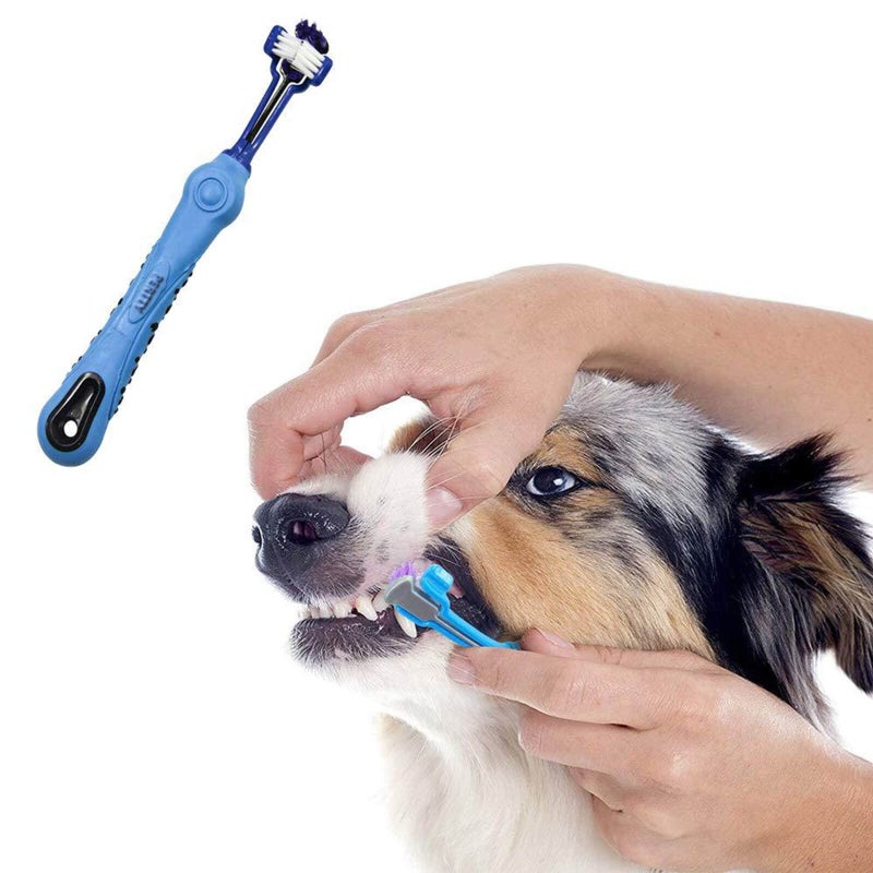 Orgrimmar 2 Pcs Three Sided Pet Toothbrush Dog Brush Addition Bad Breath Tartar Teeth Care Dog Cat Cleaning Mouth - Image 3